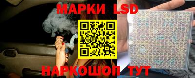 крисы Брянск