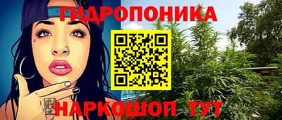крисы Брянск