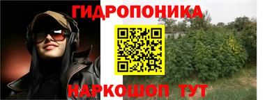 крисы Брянск