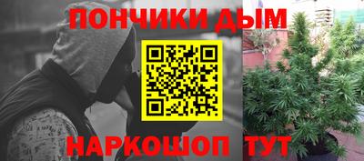 крисы Брянск