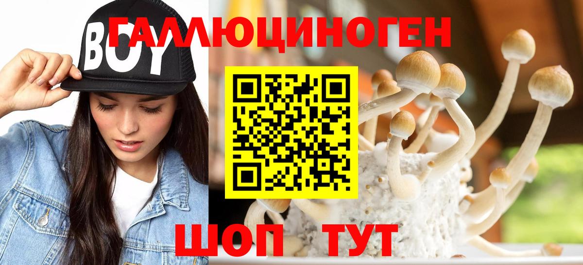 Псилоцибиновые грибы ЛСД  Псилоцибиновые грибы Magic Shrooms  Зима  Вход с VPN 